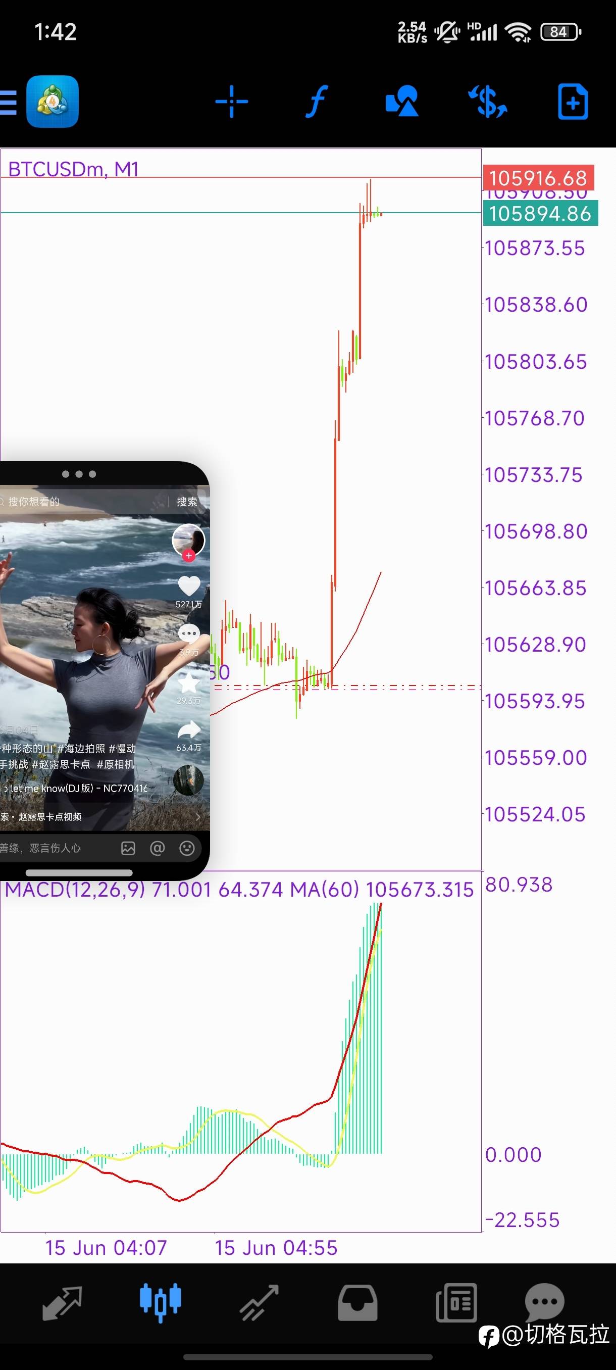 feed-image-1