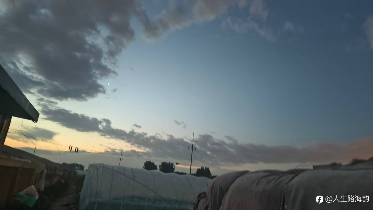 今天