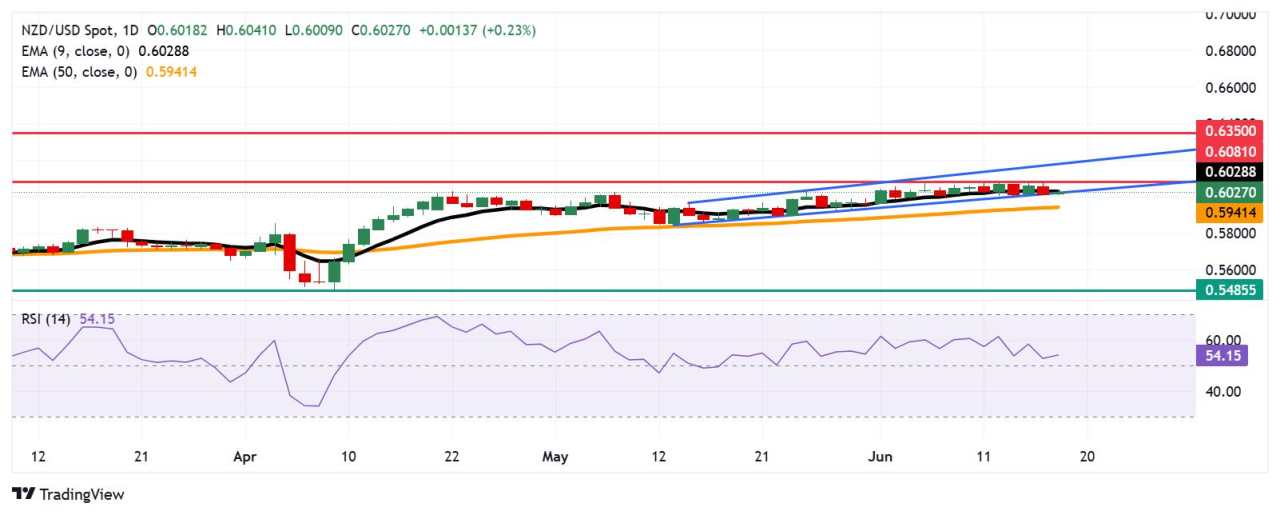 Prakiraan Harga NZD/USD: Menguji Batas Bawah Ascending Channel di Dekat 0,6000