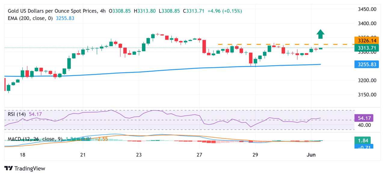 Gold price holds steady above $3,200 amid a combination of supporting factors