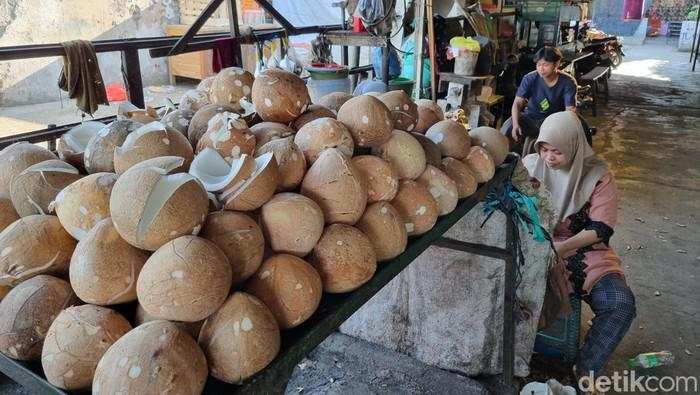 Ekspor Kelapa Mau Diatur biar Harganya Tak Mahal, Ini Bocorannya