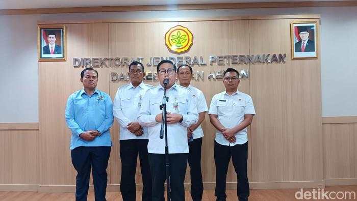 Kementan Tetapkan HPP Ayam Hidup Rp 18.000/Kg, Berlaku Besok