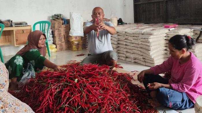 BRI Beri Dukungan Pembiayaan ke Koperasi Penyuplai Bahan Pangan MBG