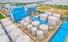 Paramita (PBSA) Tebar Dividen Jumbo, Yield Tembus 12 Persen