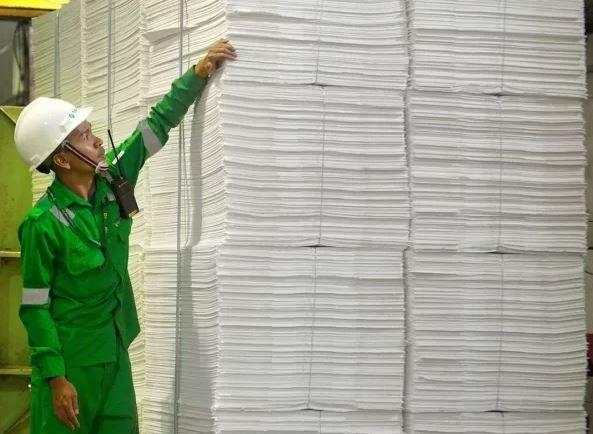 Toba Pulp (INRU) Diakuisisi Perusahaan Hong Kong yang Baru Seumur Jagung, Ini Kata Manajemen