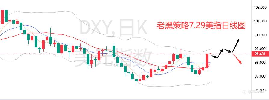 老黑策略：7.29外汇、黄金、原油分析策略