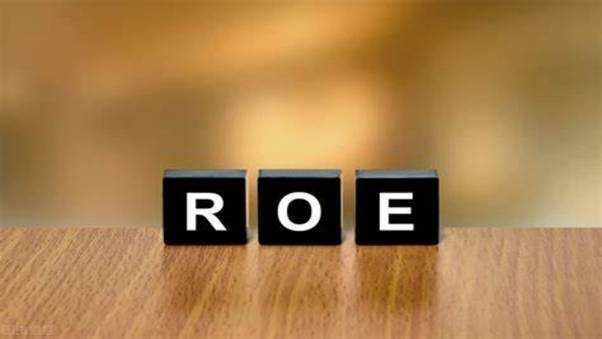 What is ROE? Complete Guide to Key Investment Data