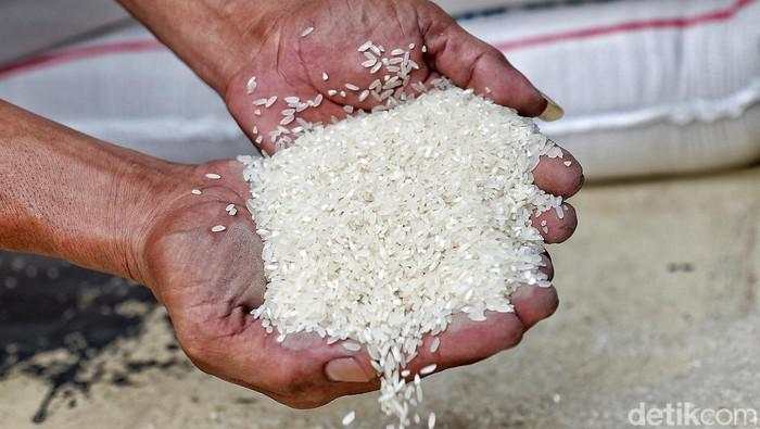 Harga Eceran Tertinggi Beras Medium Berpotensi Naik