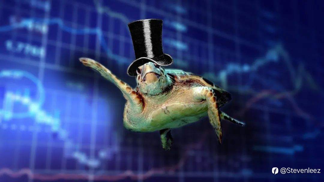 什么是海龟交易法（Turtle Trading System）？海龟交易法则具体有哪些规则与操作步骤