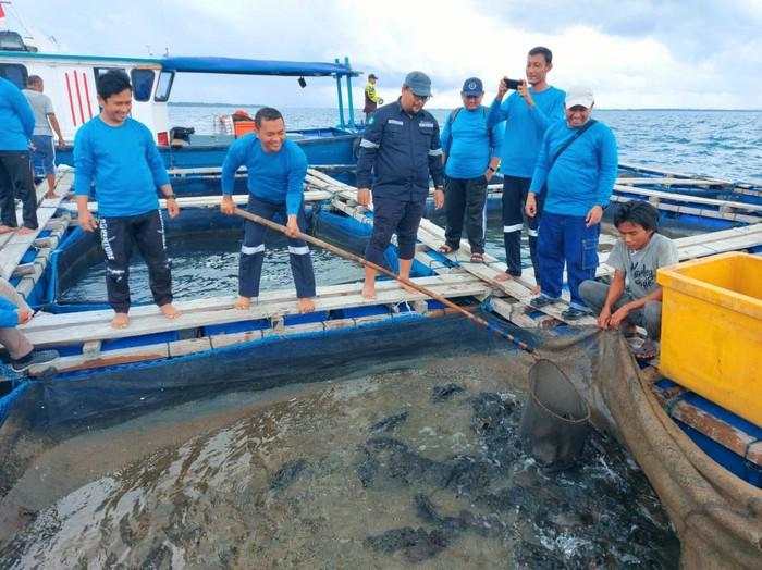 MIND ID Perkuat Ekonomi Masyarakat Pesisir Lewat Budidaya Ikan Laut