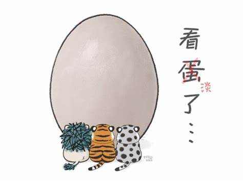 实战拆解：看淡胜率的核心本事与落地策略
