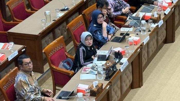 DPR Sentil BPS: Jangan Ada Data Pesanan