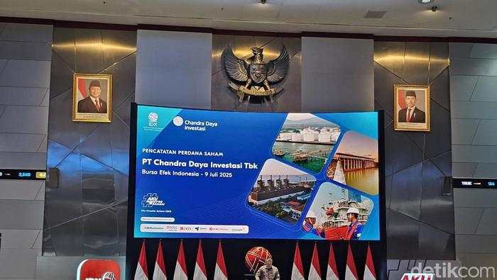 Saham Emiten Prajogo Pangestu CDIA Tiba-tiba Anjlok Sedalam Ini