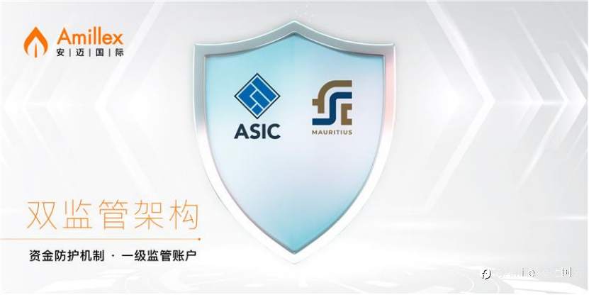 Amillex ：150万美元专业赔偿险，全面构建客户资金防护体系