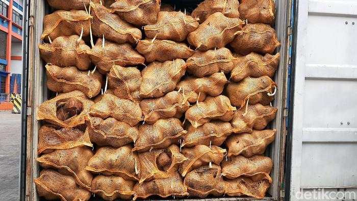 China Diam-diam 'Main Kelapa' di RI, Duitnya Ngalir Triliunan!