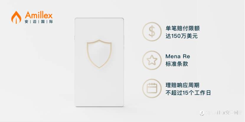 Amillex ：150万美元专业赔偿险，全面构建客户资金防护体系