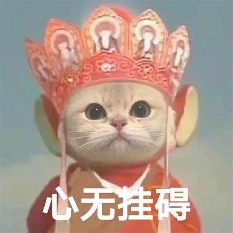 期货的最高境界：执一把宝剑，与你的交易系统保持高度一致