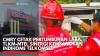 Harga CPO Rebound usai Terkoreksi 2 Hari Beruntun