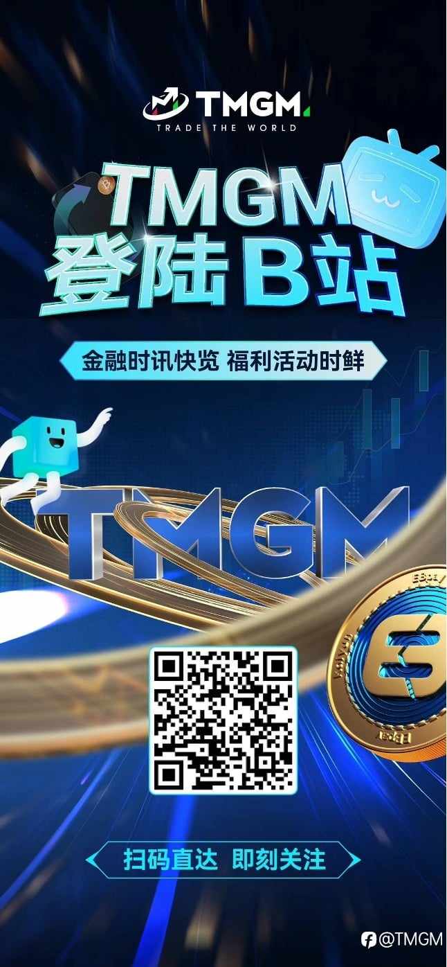 TMGM 2025上半年总结：向上生长，向善而行！