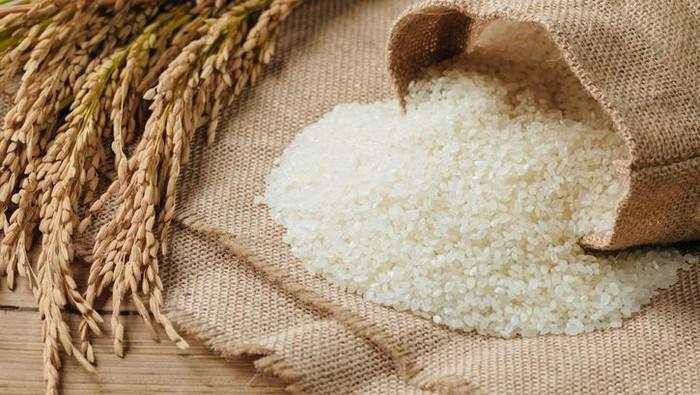 Kementan Ungkap Hasil Uji Sampel Beras Food Station: Tidak Sesuai Standar