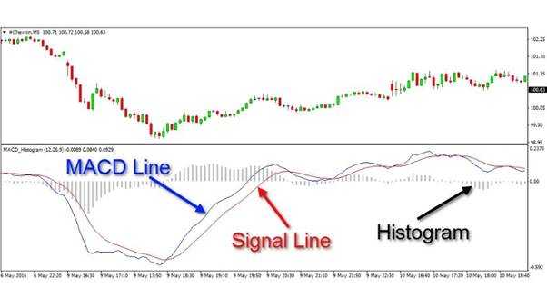What is MACD? Key Forex Indicator to Master Trading Timing!