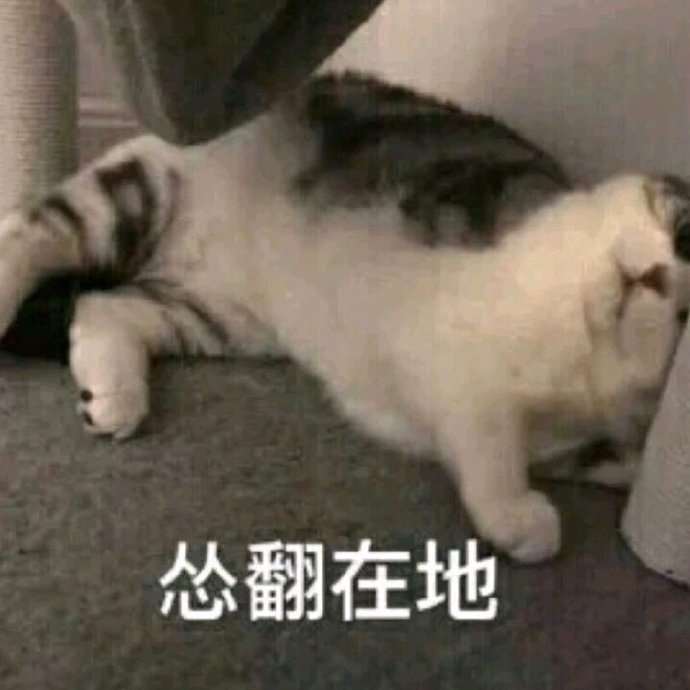 胜率与盈亏比：平衡风险与回报的艺术