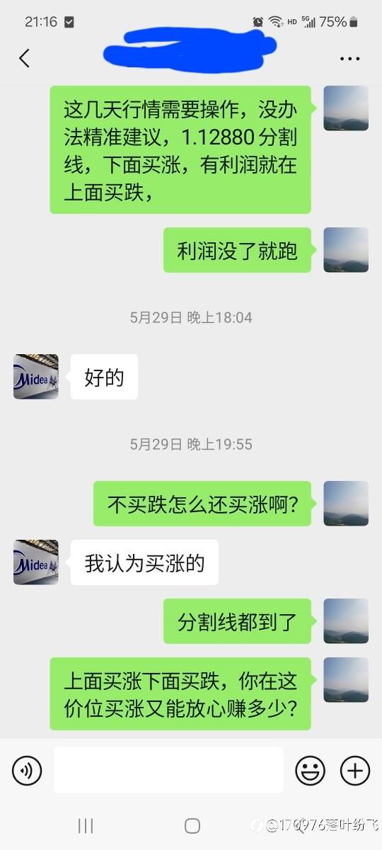 现在账户要隔日更新吗？
