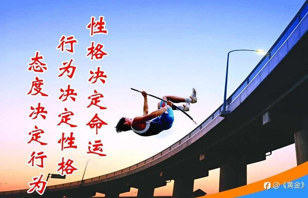 性格决定交易：解锁交易新视野