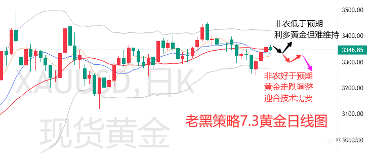 老黑策略：7.3外汇、黄金、原油分析策略