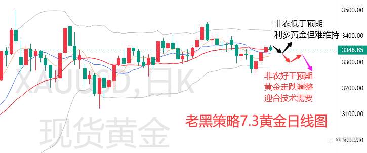 老黑策略：7.3外汇、黄金、原油分析策略
