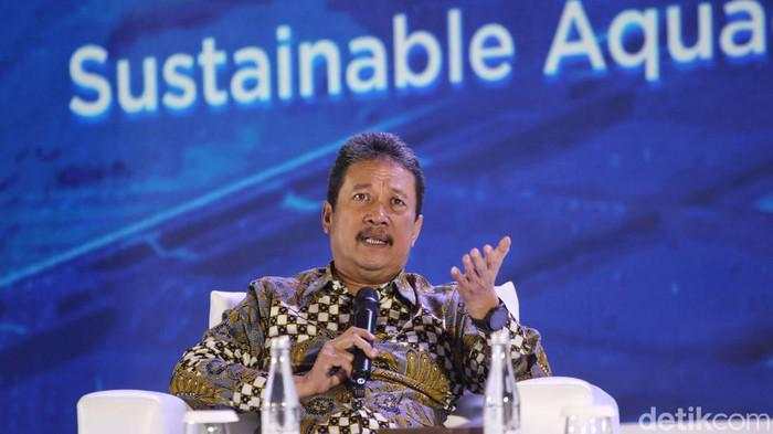 Udang RI Kena Tarif AS 22%, Begini Penjelasan Trenggono