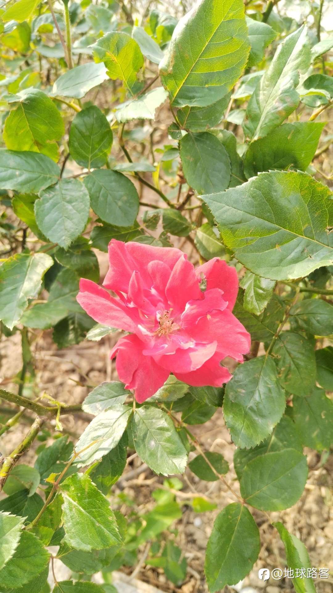 稳定盈利的甚少到什么程度