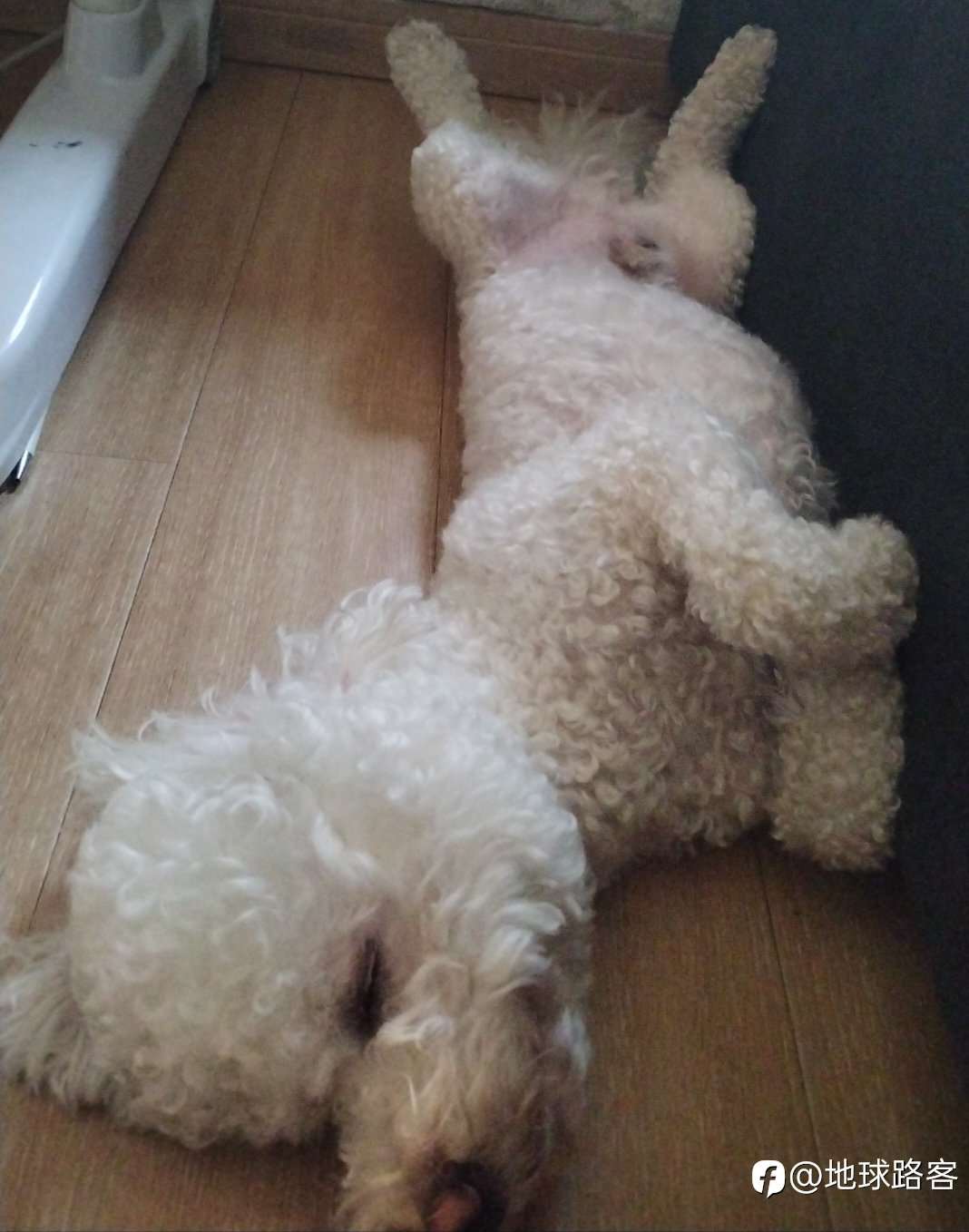 交易的瓶颈我觉得有三种