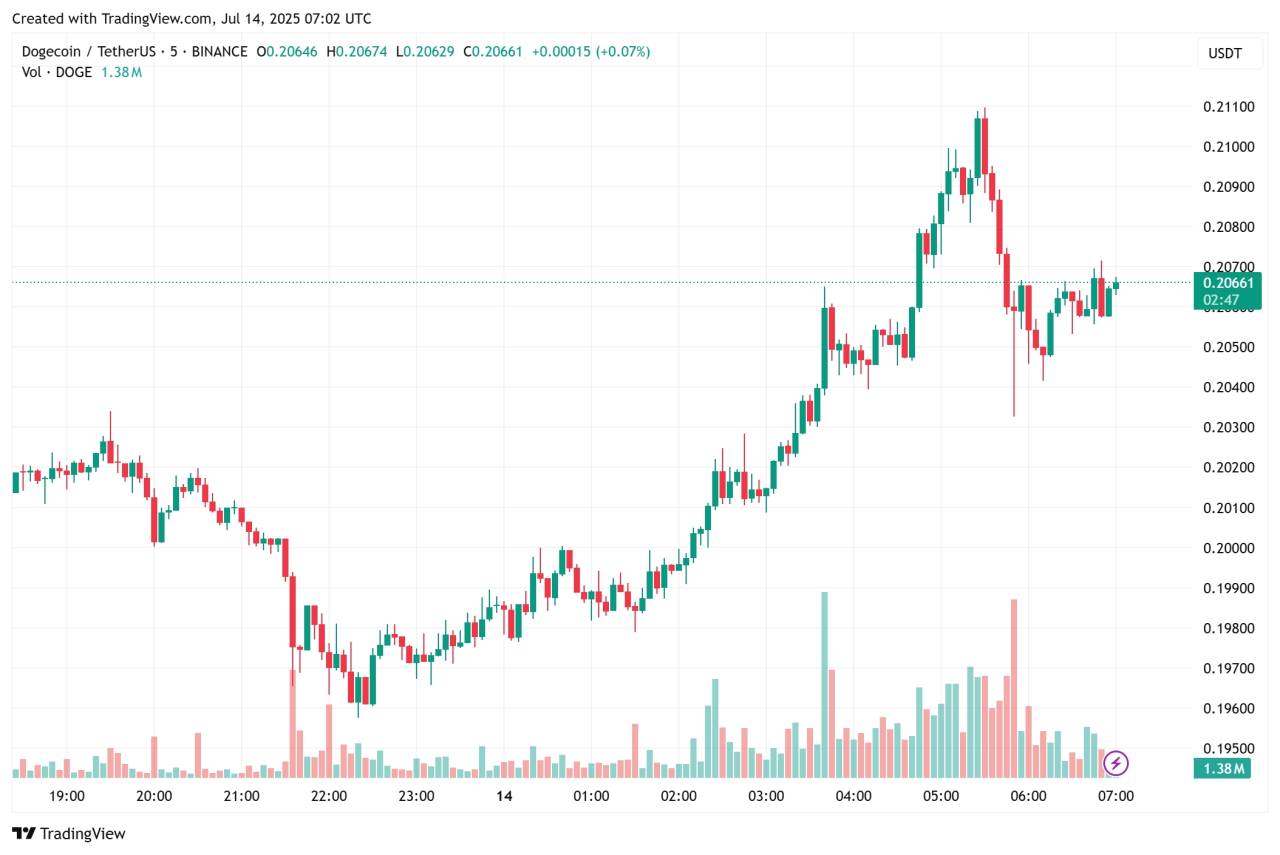 Elon Gak Ngetweet, DOGE Gak Ngapa-ngapain