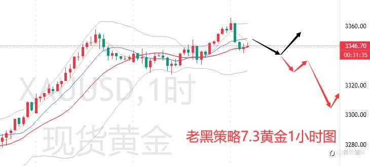 老黑策略：7.3外汇、黄金、原油分析策略