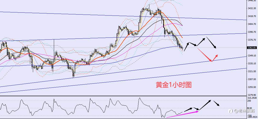 老黑策略：7.24晚盘外汇、黄金、原油分析策略