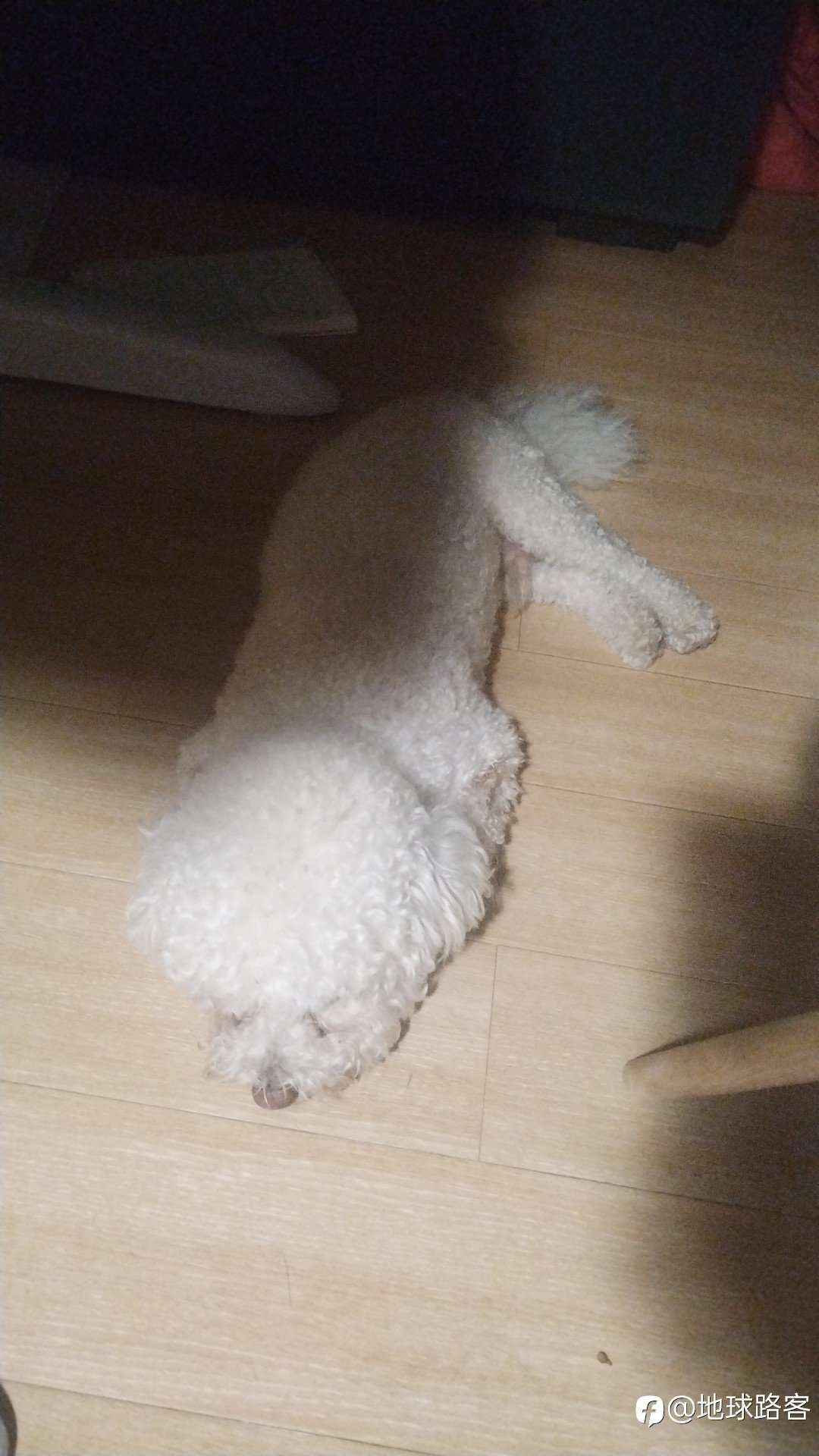 仓位管理？轻仓 重仓 我都试过