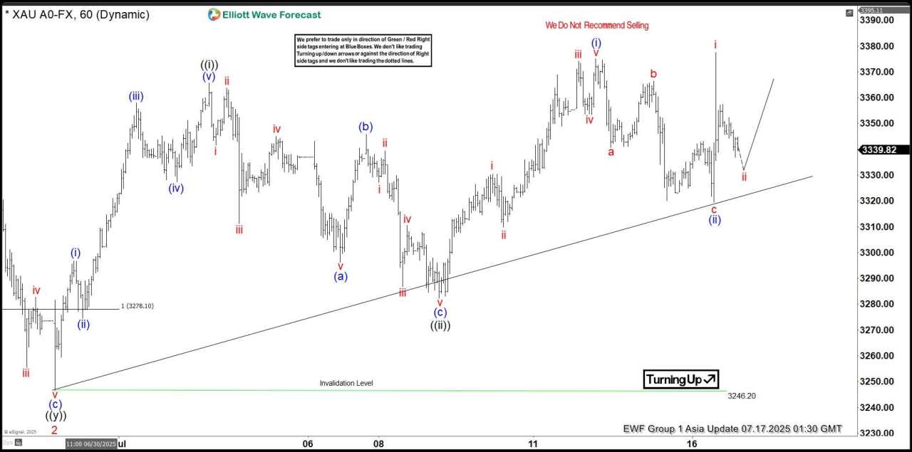Elliott Wave view: XAU/USD should continue rally [Video]