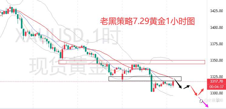 老黑策略：7.29外汇、黄金、原油分析策略