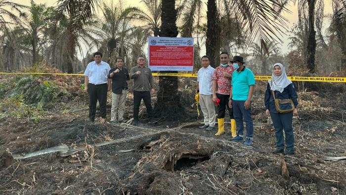 Cegah Karhutla Riau, KLH Segel 4 Perusahaan & Tutup Satu Pabrik Sawit