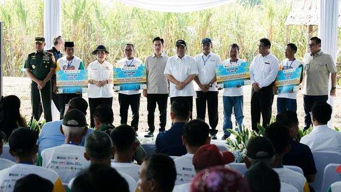 Dukung Swasembada Gula, Pupuk Indonesia Panen Tebu Bareng Wapres Gibran