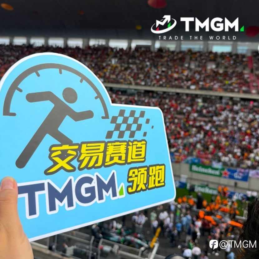 TMGM 2025上半年总结：向上生长，向善而行！
