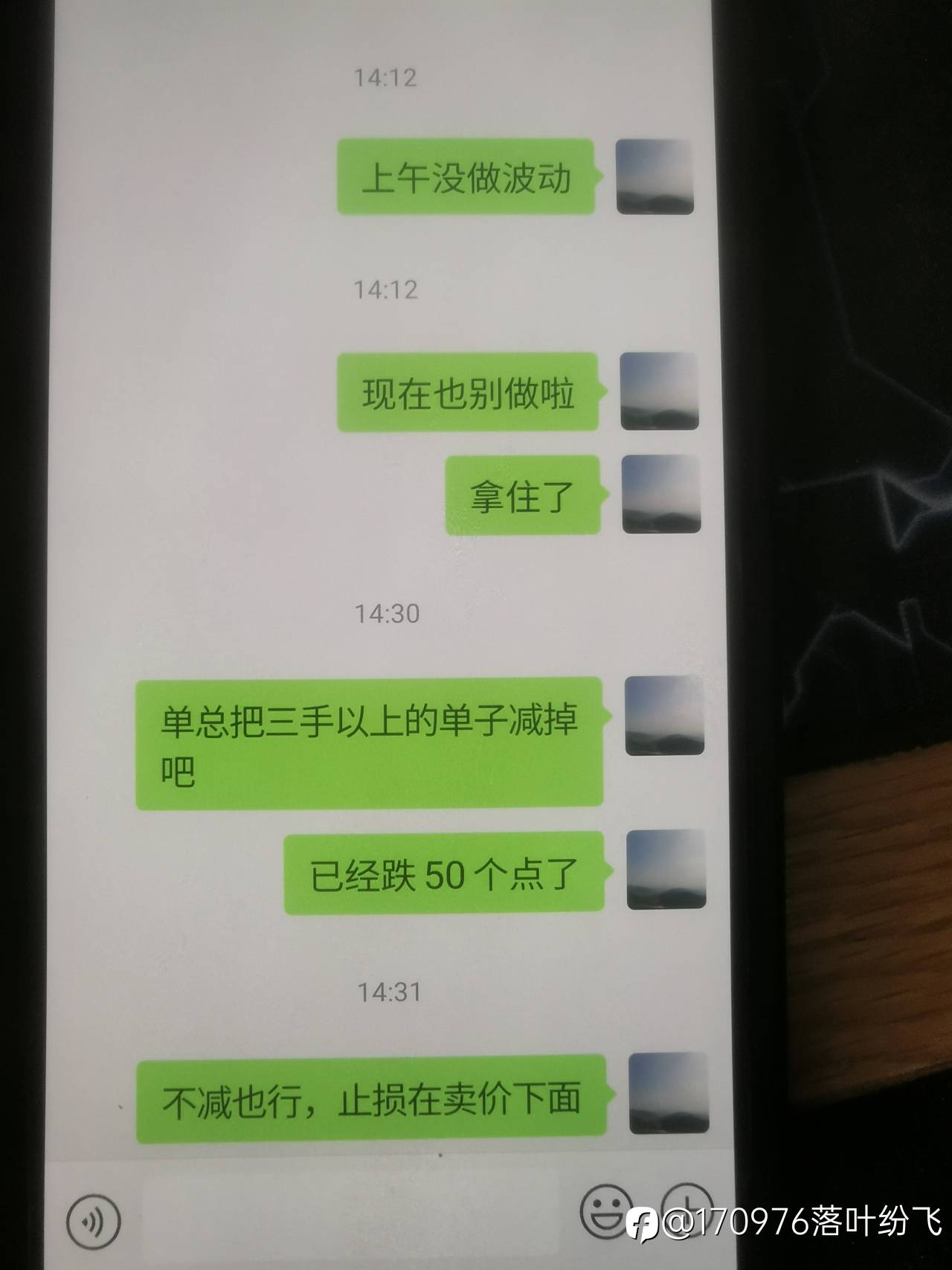 两个鸵鸟