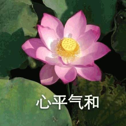 实战拆解：看淡胜率的核心本事与落地策略