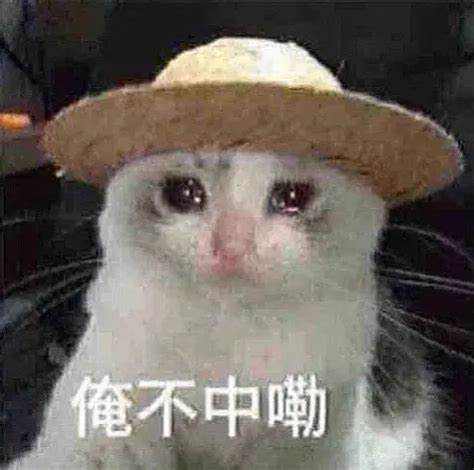 期货交易的最高境界——无欲！