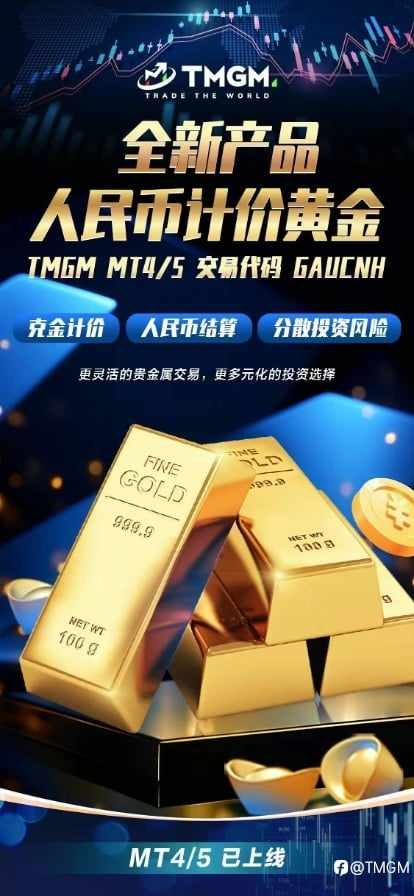 TMGM 2025上半年总结：向上生长，向善而行！