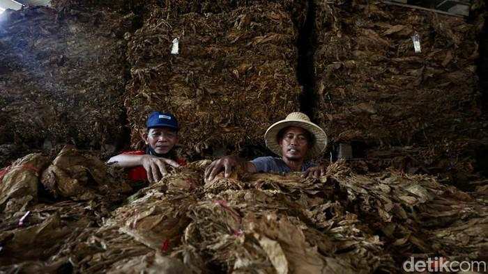 Aturan Baru Rokok Tuai Sorotan, Dinilai Bisa Bebani Industri