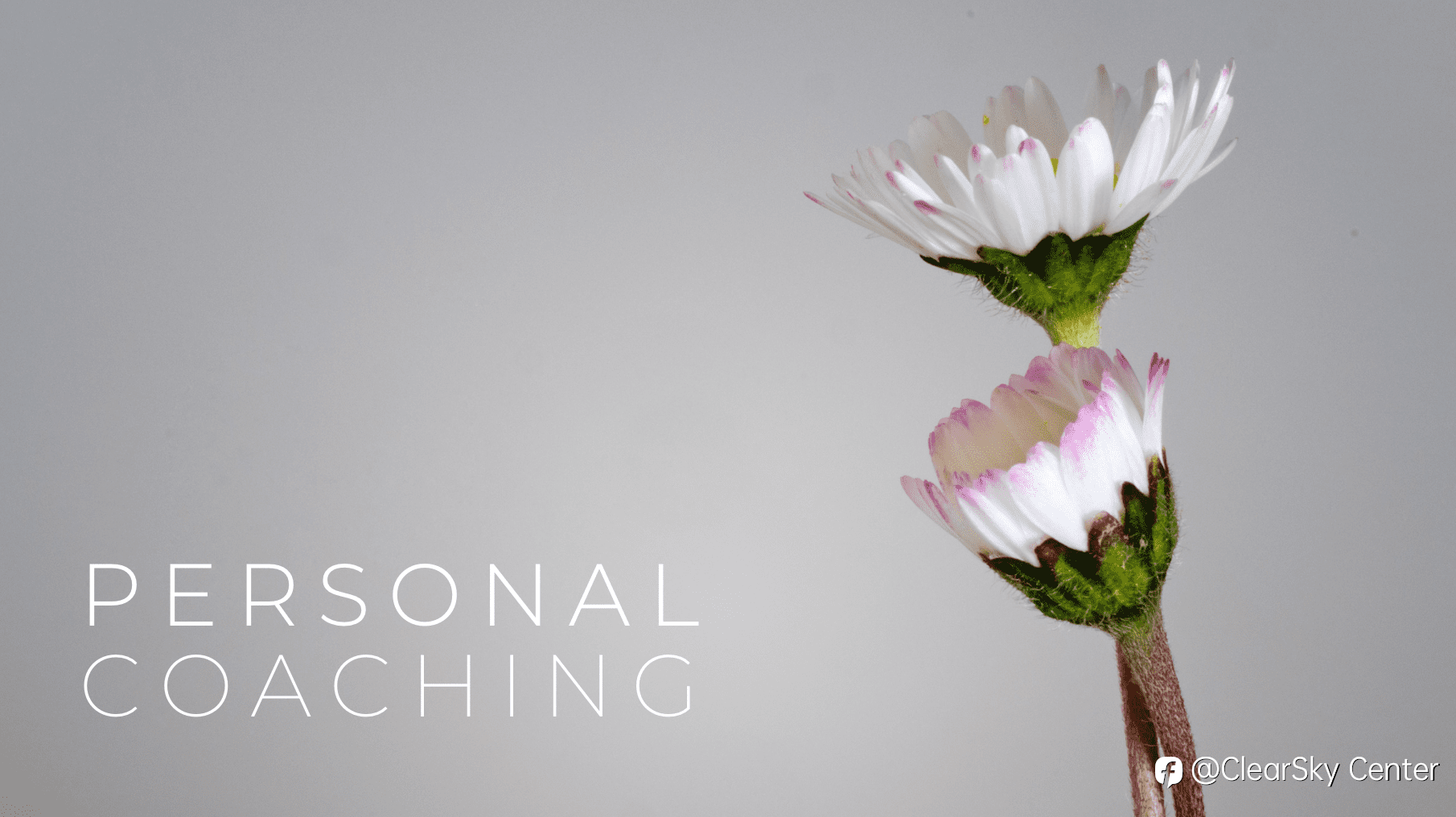 Transform Your Life with Personal Coaching at Clear Sky Center