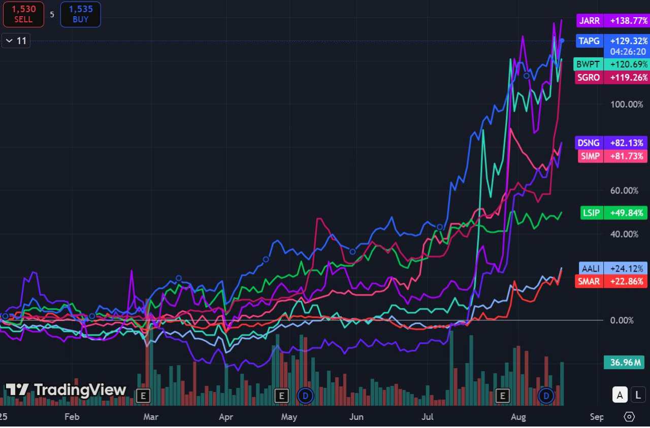 Parade Bagger Saham Emiten Sawit (CPO), Analis Soroti Tiga Nama Ini