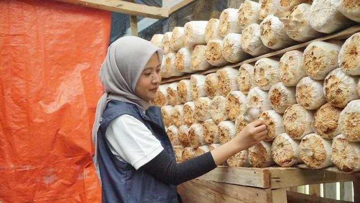 Jurus BUMN Bikin Petani Jamur dan Kopi di Pedesaan Naik Kelas